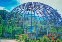 Harga Tiket Masuk Sparks Forest Adventure