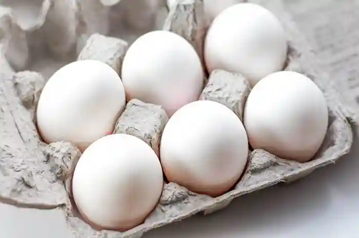 Keunggulan Telur Ayam Kampung