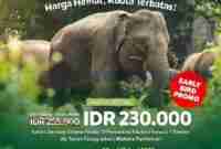 Promo Libur Sekolah TAMAN SAFARI Bogor Harga Spesial 230Ribu