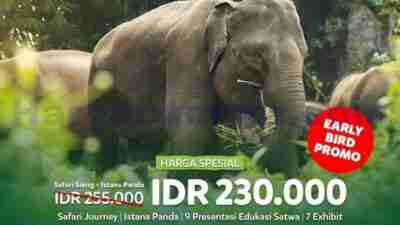 Promo Libur Sekolah TAMAN SAFARI Bogor Harga Spesial 230Ribu
