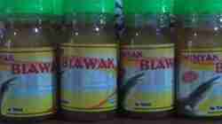 Harga Minyak Biawak Terbaru Juni 2023