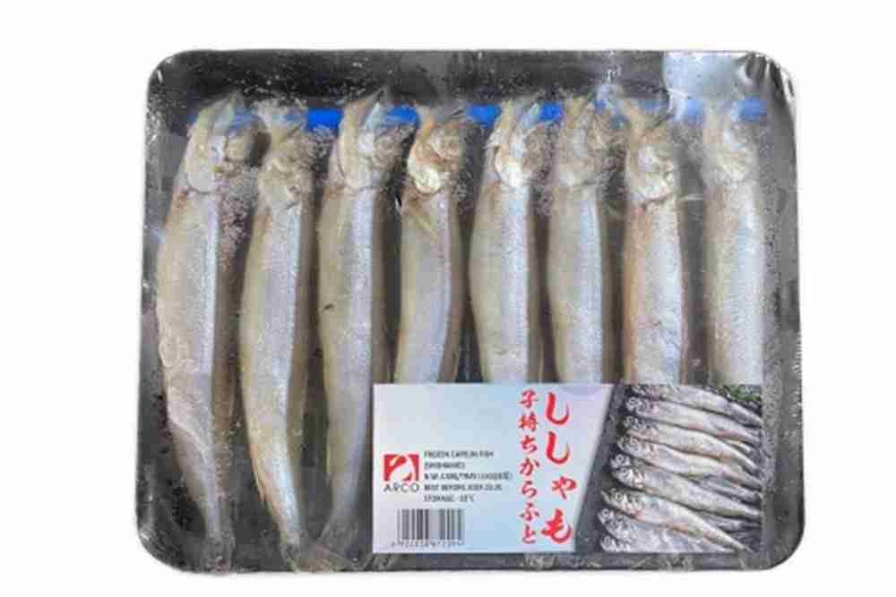 Harga Ikan Shisamo Per Kilogram Terbaru