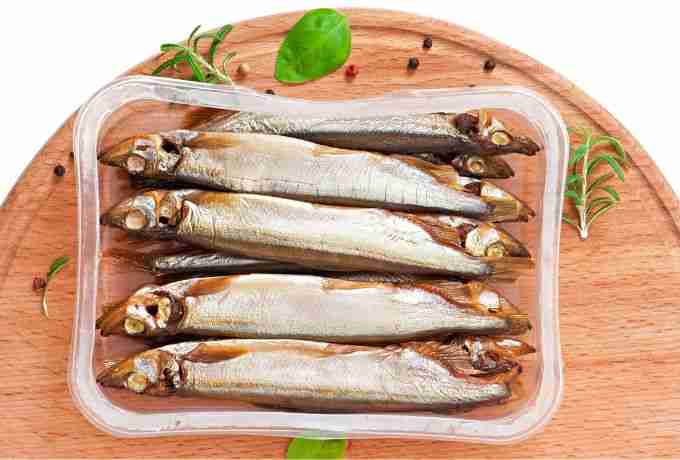 Tips Membeli Ikan Shisamo