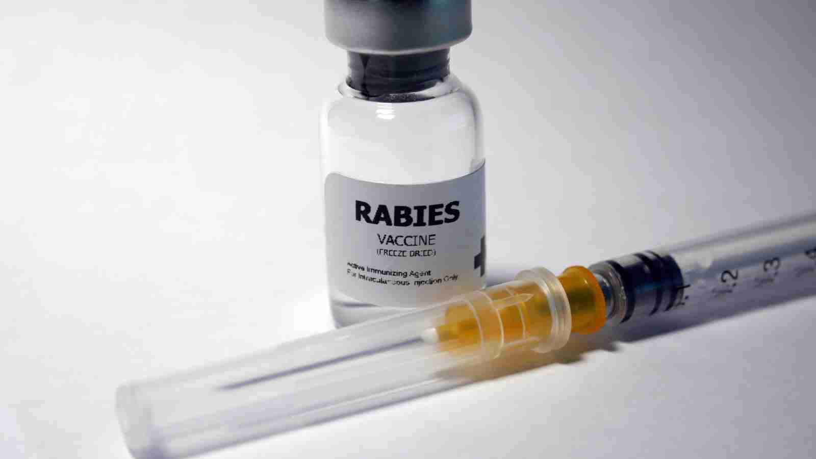 Pengertian Vaksin Rabies
