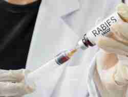 Harga Vaksin Rabies Untuk Manusia Terbaru September 2023