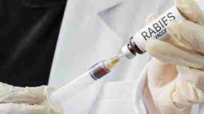 Harga Vaksin Rabies Untuk Manusia Terbaru April 2024