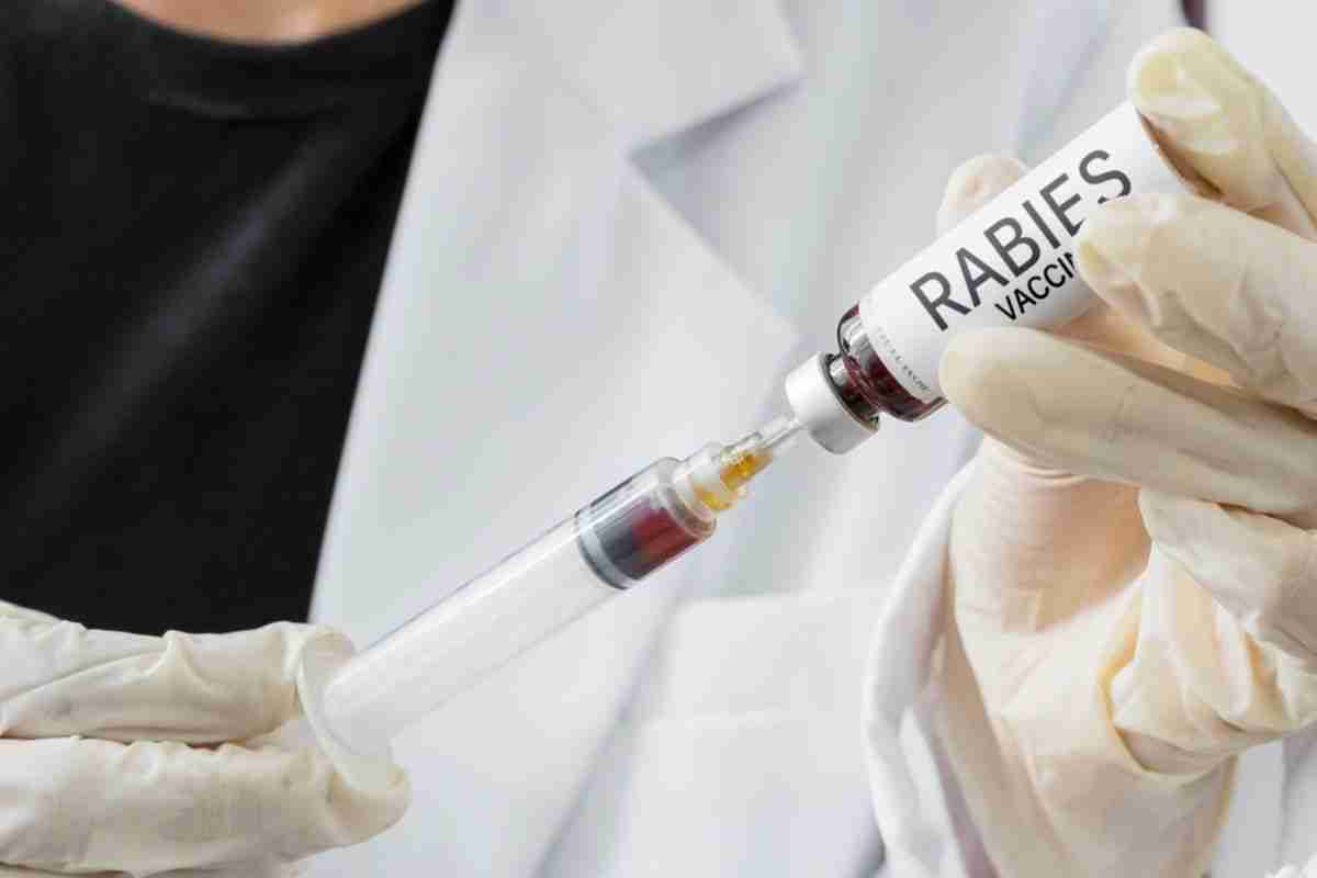 Harga Vaksin Rabies Untuk Manusia Terbaru Juli 2023