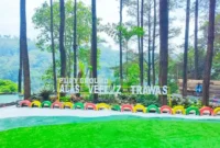 Harga Tiket Masuk Playground Alas Veenuz Trawas