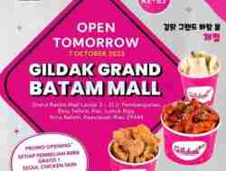 Promo Gildak Opening Store Beli 1 Gratis 1 Seoul Chicken Skin