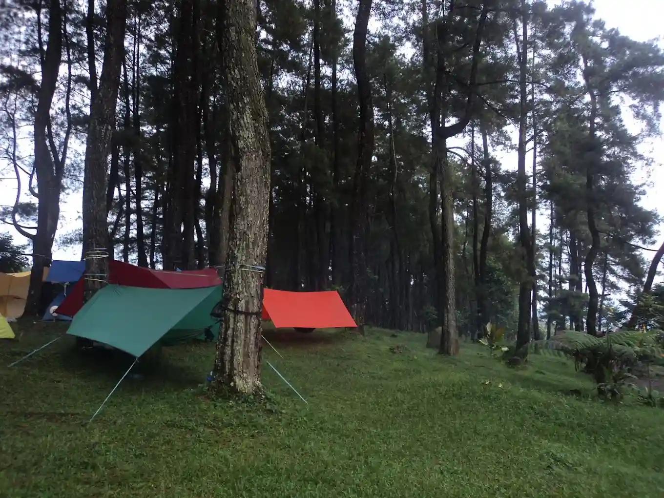 Camping Ground Atau Area Berkemah