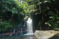 Harga Tiket Masuk Curug Ciputri