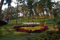 Harga Tiket Masuk Tenggir Park