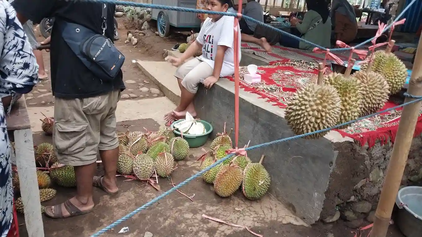 Membeli Durian Dengan Harga Murah
