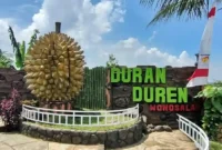 Harga Tiket Masuk Duran Duren Wonosalam