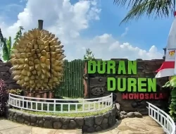 Harga Tiket Masuk Duran Duren Wonosalam Terbaru April 2024