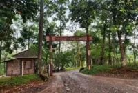 Harga Tiket Masuk Wisata Agro Bukit Waruwangi