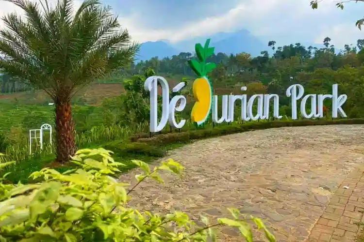 Tips Berkunjung ke Duran Duren Wonosalam