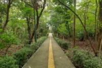 Harga Tiket Masuk Hutan Kota Srengseng