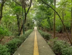 Harga Tiket Masuk Hutan Kota Srengseng Terbaru April 2024