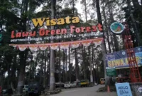 Harga Tiket Masuk Lawu Green Forest