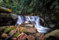 Harga Tiket Masuk Lembah Tepus
