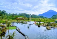 Harga Tiket Masuk Sumber Gempong