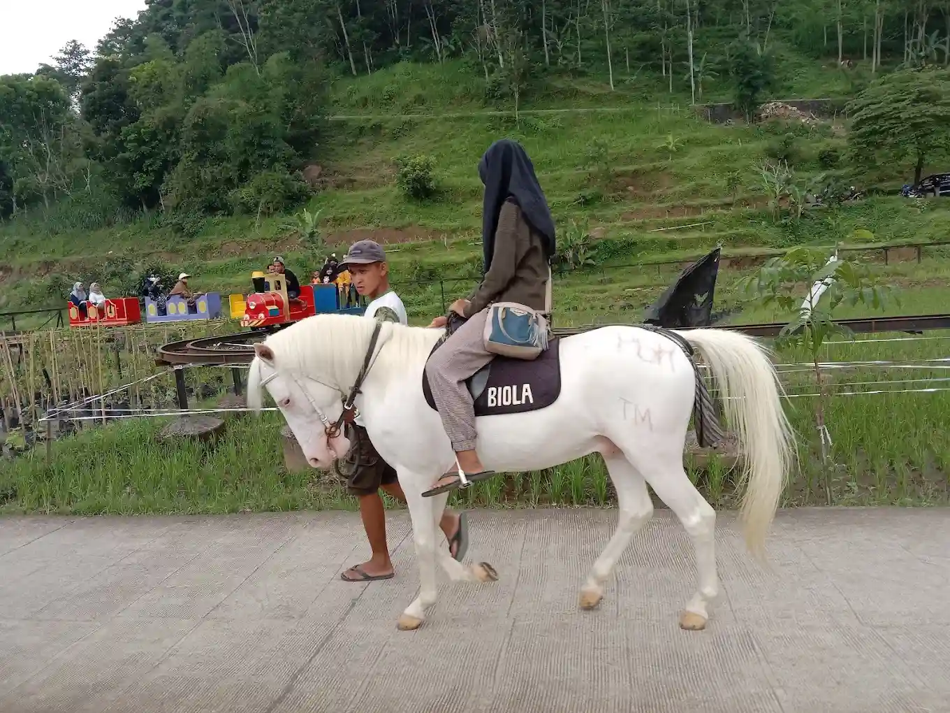 Kuda Tunggang dan ATV