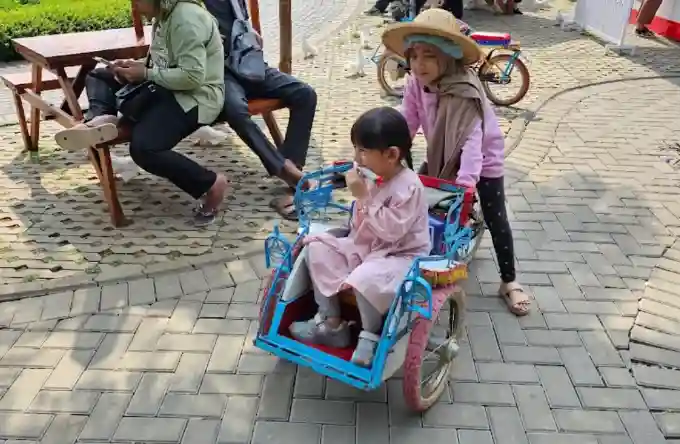Mini Pedicab