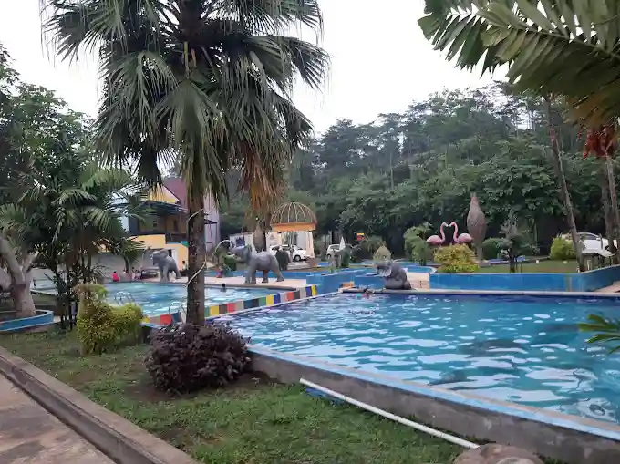 Mini Water Park & Swimming Pool