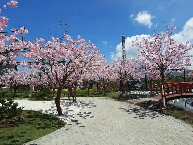 Taman Sakura