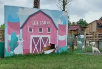 Harga Tiket Masuk Sui Farm Malang