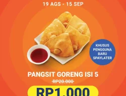 Promo Bakmi GM 5 Pangsit Goreng Hanya 1Ribu Pakai SPaylater