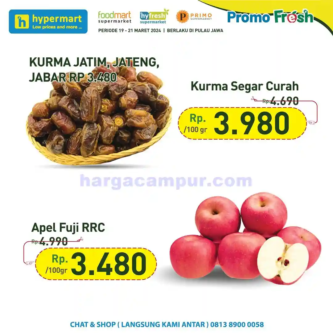 Harga Hamster Roborovski Ciri Fisik