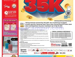 Katalog Alfamidi Promo Terbaru 16 – 31 Januari 2025