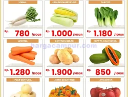 Katalog Promo Hapimart Hypermarket 16 – 31 Maret 2025