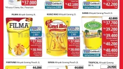 Katalog Promo JSM Alfamidi Terbaru 14 - 16 Februari 2025 1