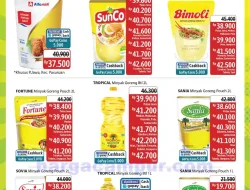 Katalog Promo JSM Alfamidi Terbaru 14 – 16 Maret 2025