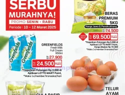 Katalog Promo JSM Lottemart Terbaru 13 – 16 Maret 2025