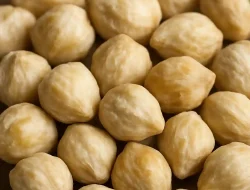 Update Harga Kemiri per Kg Terbaru 2025: Cek di Sini!