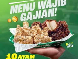 Promo Wingstop Payday Deal 10 Ayam Harga Hanya 49 Ribu