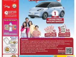 Katalog Alfamidi Promo Terbaru 1 – 15 Juni 2025