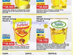 Katalog Promo JSM Alfamart Terbaru 9 - 11 Mei 2025 9