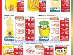 Katalog Promo JSM Alfamidi Terbaru 6 – 8 Juni 2025