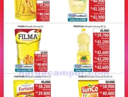 Katalog Promo JSM Alfamidi Terbaru 27 – 29 Juni 2025