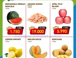 Katalog Promo JSM FamilyMart Terbaru 13 – 15 Juni 2025