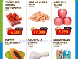 Katalog Promo JSM FamilyMart Terbaru 27 – 29 Juni 2025