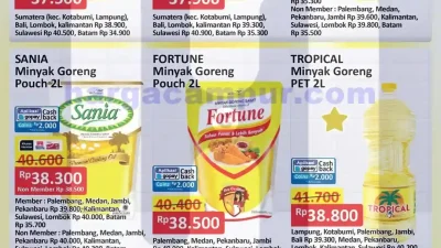 Promo Minyak Goreng Murah Alfamart Terbaru 20 – 26 Juni 2025
