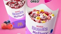 Promo McDonalds Mixed Berries McFlurry Harga Mulai 17 Ribuan