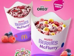 Promo McDonalds Mixed Berries McFlurry Harga Mulai 17 Ribuan