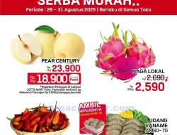 Promo Lotte Grosir Weekend Terbaru 28 – 31 Agustus 2025